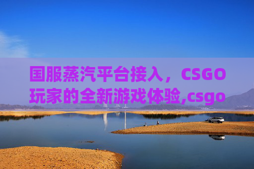 国服蒸汽平台接入，CSGO玩家的全新游戏体验,csgo国服蒸汽平台接入不了