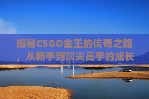 揭秘CSGO金王的传奇之路，从新手到顶尖高手的成长历程,csgoak王
