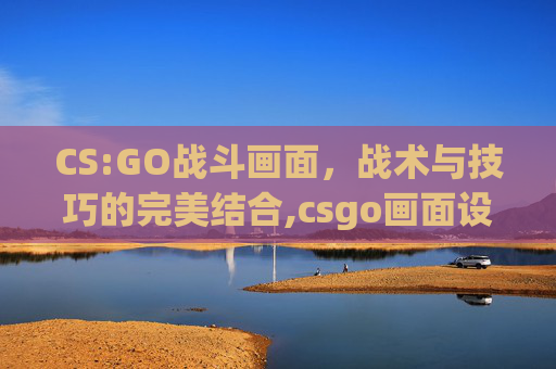 CS:GO战斗画面，战术与技巧的完美结合,csgo画面设置最佳方案2020年
