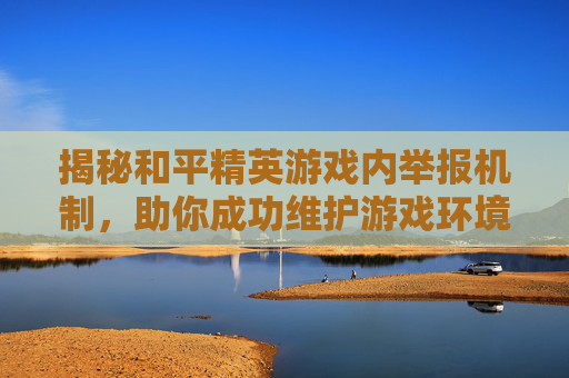 揭秘和平精英游戏内举报机制，助你成功维护游戏环境,和平精英怎么举报才能成功