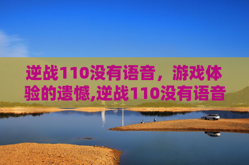 逆战110没有语音，游戏体验的遗憾,逆战110没有语音怎么回事