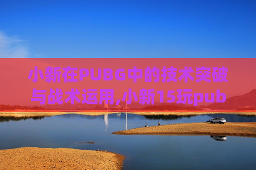 小新在PUBG中的技术突破与战术运用,小新15玩pubg