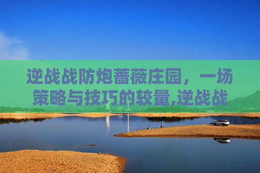 逆战战防炮蔷薇庄园，一场策略与技巧的较量,逆战战防炮蔷薇庄园怎么打
