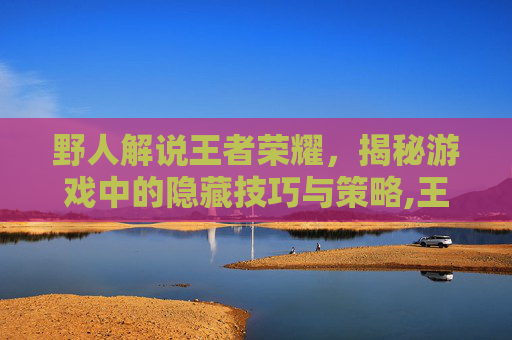 野人解说王者荣耀，揭秘游戏中的隐藏技巧与策略,王者荣耀 野人
