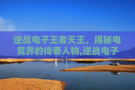 逆战电子王者天王，揭秘电竞界的传奇人物,逆战电子王者天王多少钱