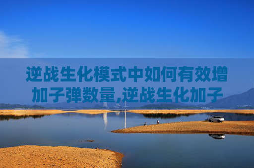 逆战生化模式中如何有效增加子弹数量,逆战生化加子弹多少钱