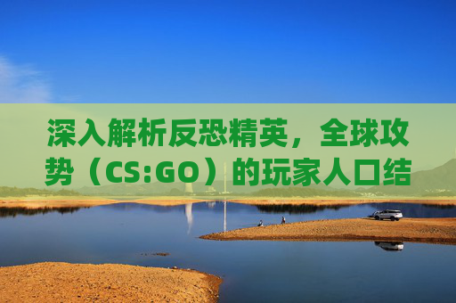 深入解析反恐精英，全球攻势（CS:GO）的玩家人口结构,csgo国内人数
