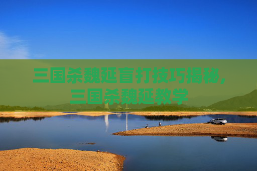 三国杀魏延盲打技巧揭秘,三国杀魏延教学