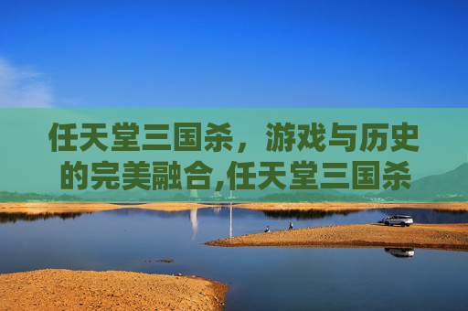 任天堂三国杀，游戏与历史的完美融合,任天堂三国杀账号注册