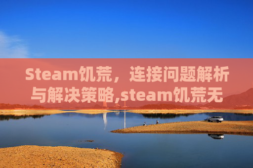 Steam饥荒，连接问题解析与解决策略,steam饥荒无法连接
