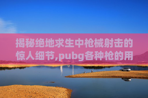 揭秘绝地求生中枪械射击的惊人细节,pubg各种枪的用法