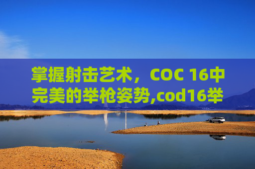 掌握射击艺术，COC 16中完美的举枪姿势,cod16举枪瞄准灵敏度转换时间点