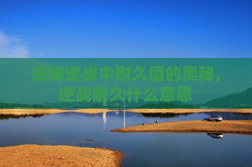 揭秘逆战中耐久值的奥秘,逆战耐久什么意思