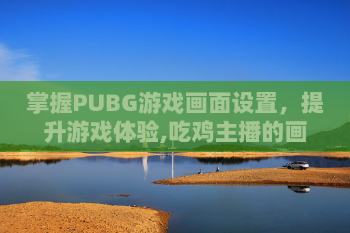 掌握PUBG游戏画面设置，提升游戏体验,吃鸡主播的画面设置