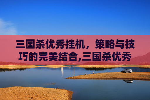 三国杀优秀挂机，策略与技巧的完美结合,三国杀优秀挂机多少钱