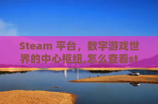 Steam 平台，数字游戏世界的中心枢纽,怎么查看steam游戏存档