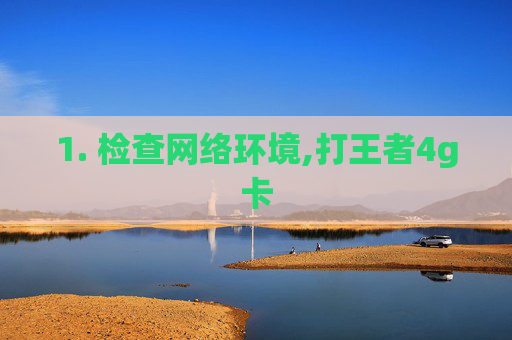 1. 检查网络环境,打王者4g卡