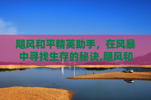 飓风和平精英助手，在风暴中寻找生存的秘诀,飓风和平精英助手下载