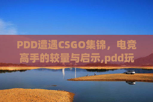 PDD遭遇CSGO集锦，电竞高手的较量与启示,pdd玩csgo花了多少钱