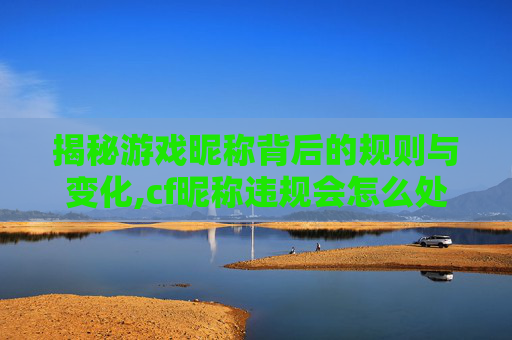 揭秘游戏昵称背后的规则与变化,cf昵称违规会怎么处罚