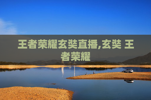 王者荣耀玄奘直播,玄奘 王者荣耀