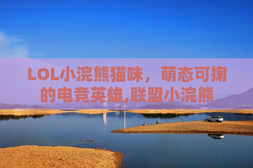 LOL小浣熊猫咪，萌态可掬的电竞英雄,联盟小浣熊