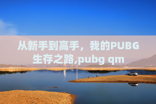 从新手到高手，我的PUBG生存之路,pubg qm