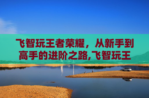 飞智玩王者荣耀，从新手到高手的进阶之路,飞智玩王者荣耀怎么样