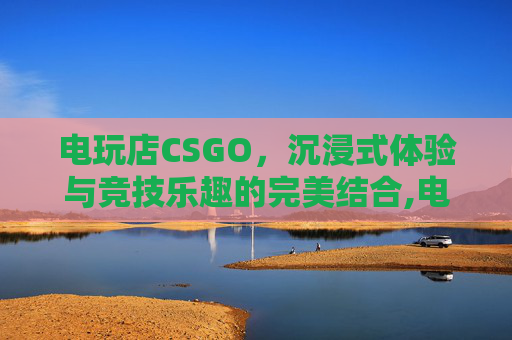 电玩店CSGO，沉浸式体验与竞技乐趣的完美结合,电玩店评价
