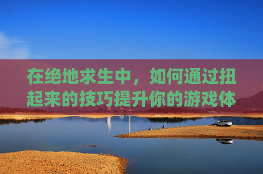 在绝地求生中，如何通过扭起来的技巧提升你的游戏体验？,pubg扛起按键