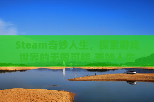 Steam奇妙人生，探索游戏世界的无限可能,奇妙人生warkfc下载