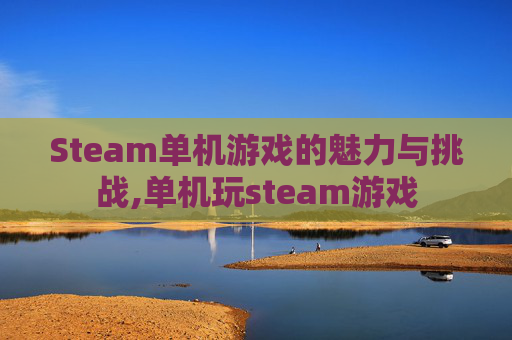 Steam单机游戏的魅力与挑战,单机玩steam游戏