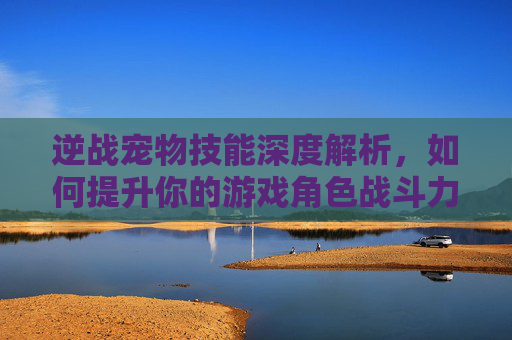 逆战宠物技能深度解析，如何提升你的游戏角色战斗力？,逆战宠物技能怎么释放