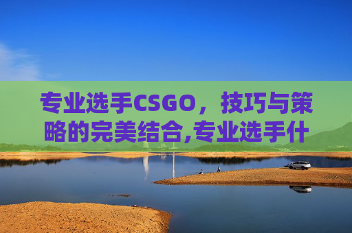 专业选手CSGO，技巧与策略的完美结合,专业选手什么意思