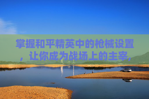 掌握和平精英中的枪械设置，让你成为战场上的主宰,和平精英怎么看枪械调整