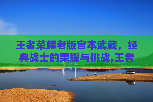 王者荣耀老版宫本武藏，经典战士的荣耀与挑战,王者荣耀老版宫本技能介绍