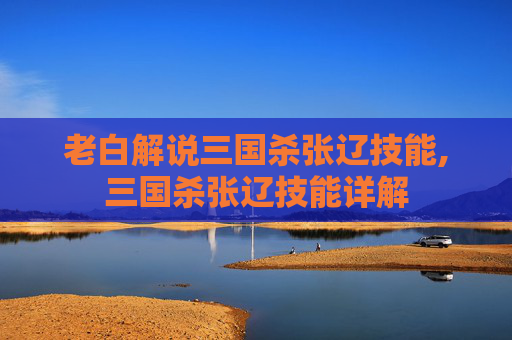 老白解说三国杀张辽技能,三国杀张辽技能详解