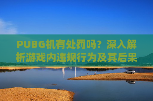 PUBG机有处罚吗？深入解析游戏内违规行为及其后果,pubg处罚规定