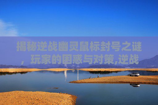 揭秘逆战幽灵鼠标封号之谜，玩家的困惑与对策,逆战幽灵键鼠怎么用