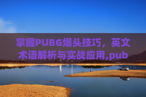 掌握PUBG爆头技巧，英文术语解析与实战应用,pubg爆头图标
