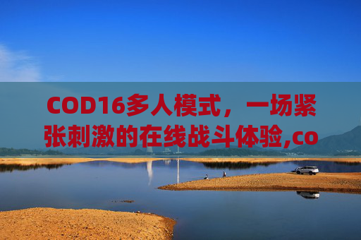 COD16多人模式，一场紧张刺激的在线战斗体验,cod16多人多少g