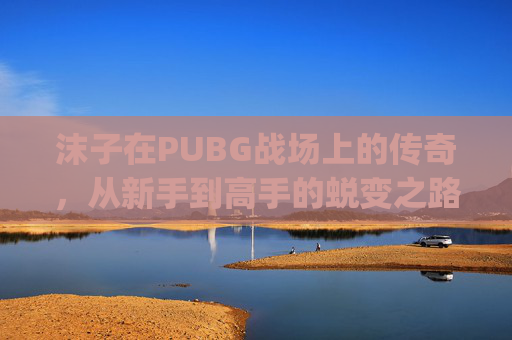 沫子在PUBG战场上的传奇，从新手到高手的蜕变之路,pubgm账号