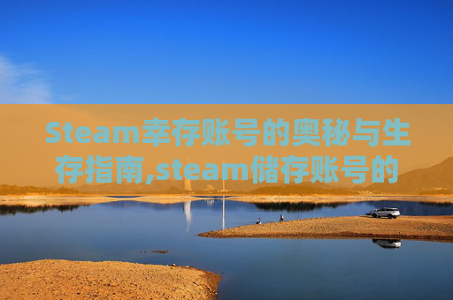 Steam幸存账号的奥秘与生存指南,steam储存账号的文件
