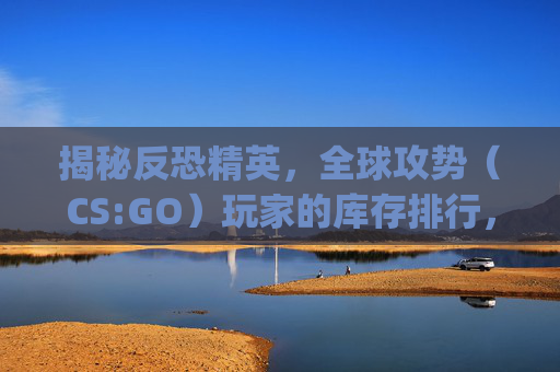 揭秘反恐精英，全球攻势（CS:GO）玩家的库存排行，谁是真正的枪王？,csgo库存排列