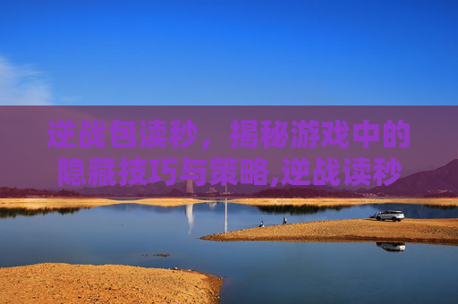 逆战包读秒，揭秘游戏中的隐藏技巧与策略,逆战读秒时候怎么飞