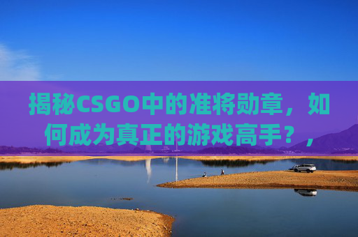 揭秘CSGO中的准将勋章，如何成为真正的游戏高手？,cago准将勋章
