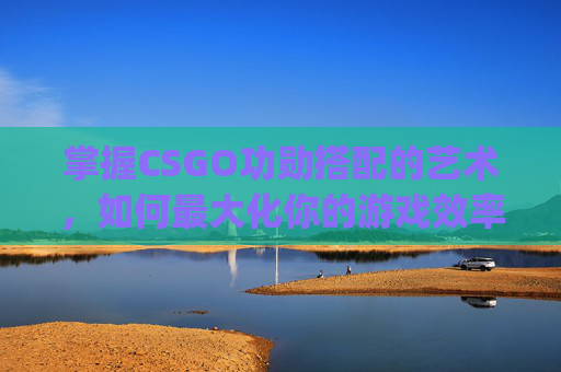 掌握CSGO功勋搭配的艺术，如何最大化你的游戏效率,csgo功勋怎么获得
