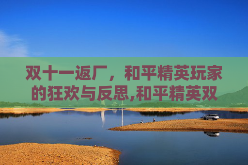 双十一返厂，和平精英玩家的狂欢与反思,和平精英双十一返厂多久