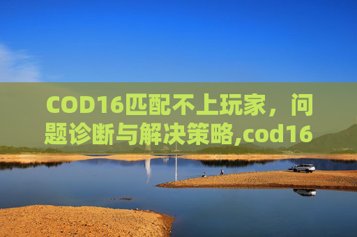 COD16匹配不上玩家，问题诊断与解决策略,cod16匹配不进去