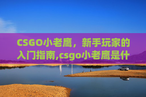 CSGO小老鹰，新手玩家的入门指南,csgo小老鹰是什么水平